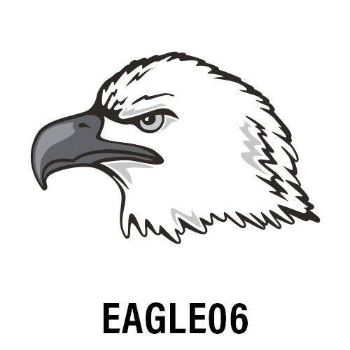 EAGLE06