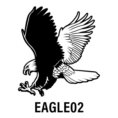 EAGLE02