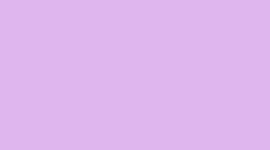 87 Lilac