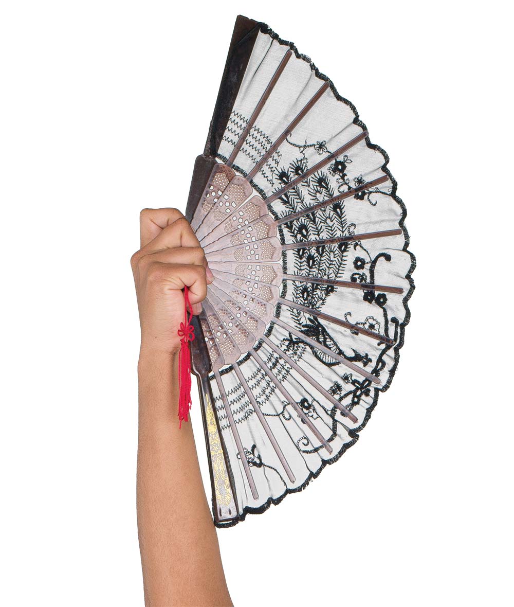 Lace Fan
