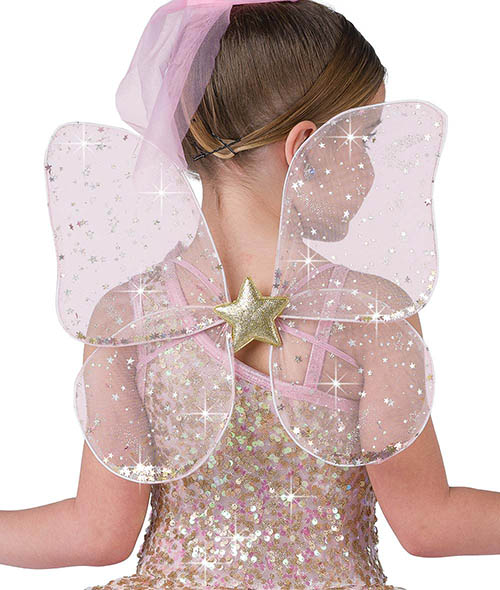 Fairytale Wings  Product