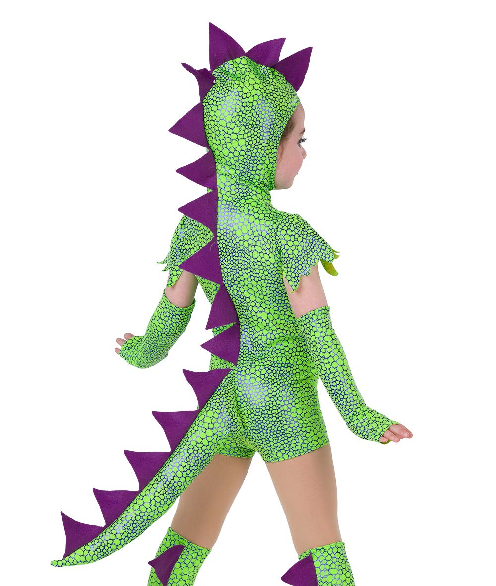 Dinosaurs Go Rawr  Dinosaurs Go Rawr