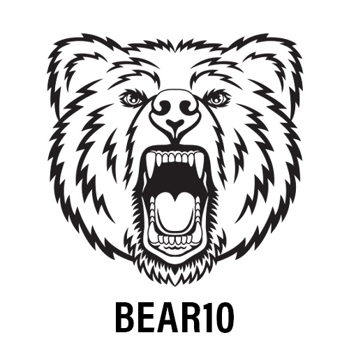 BEAR10